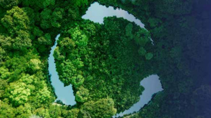 Sustainable Materials